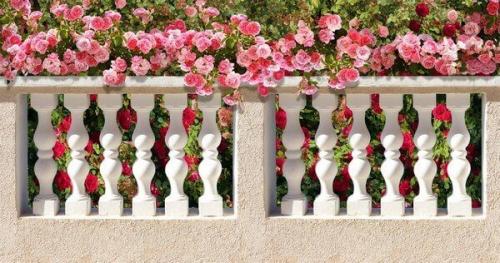 Уход за розами зимой дома. Как вырастить розы на балконе и сохранить зимой до весны