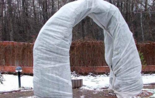 Укрытие роз на зиму способы и особенности в различных регионах. Особенности и простые способы укрытия одиночных роз и плетистых видов