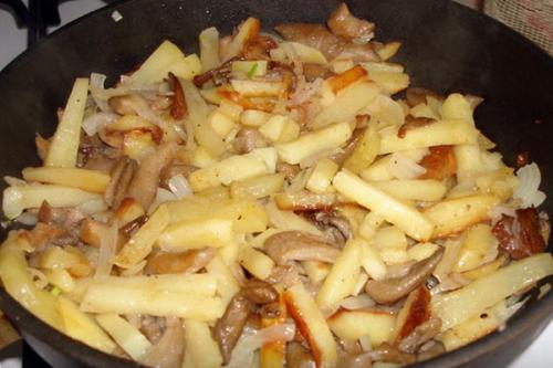 Как жарить вешенки со сметаной. Как приготовить грибы вешенки со сметаной: пошаговые рецепты