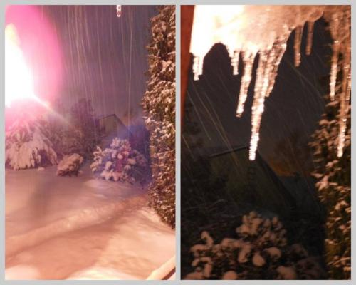 Как восстановить яблоки, если они начали подмерзать на балконе. Tasha_jardinier