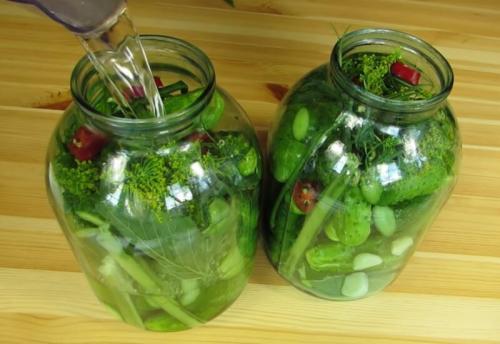 Огурцы соленые на зиму холодным способом. Солёные огурцы на зиму в банках холодным способом — 5 рецептов хрустящих огурцов