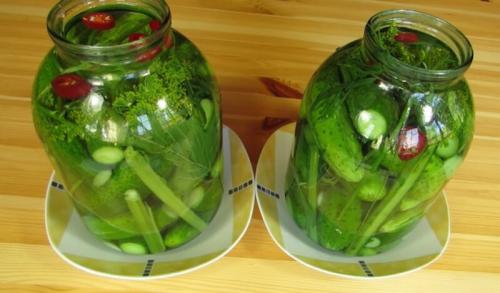 Огурцы соленые на зиму холодным способом. Солёные огурцы на зиму в банках холодным способом — 5 рецептов хрустящих огурцов