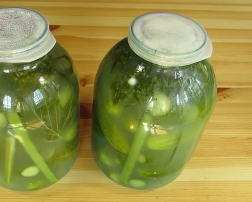 Огурцы соленые на зиму холодным способом. Солёные огурцы на зиму в банках холодным способом — 5 рецептов хрустящих огурцов