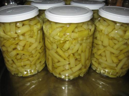 Рецепт квашеной фасоли на зиму. Заготовка туршевой фасоли на зиму