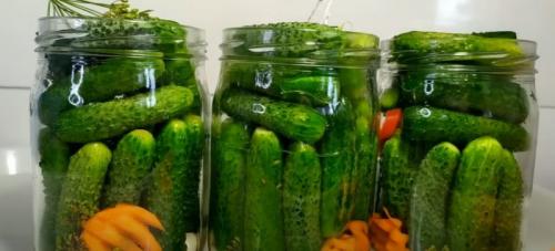 Огурцы по царски на зиму. Все лето в сезон закрываю. Хрустящие огурцы по – Царски: никогда не мутнеют