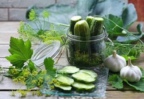 Маринованные огурцы рецепт быстрого приготовления. Быстрые маринованные огурцы – ТОП рецептов быстрого приготовления
