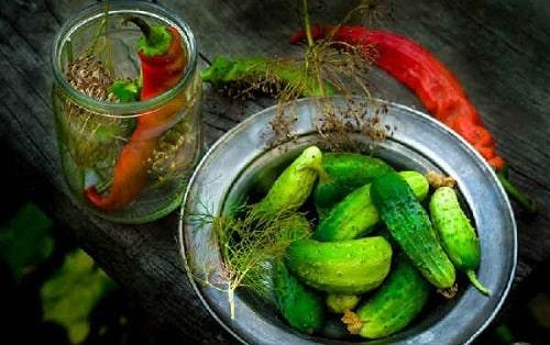 Маринованные огурцы рецепт быстрого приготовления. Быстрые маринованные огурцы – ТОП рецептов быстрого приготовления