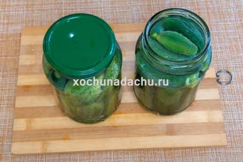 Маринованные огурцы сладкие хрустящие на 1 литровую банку. Хрустящие маринованные огурцы на зиму в 1 литровых банках с 9% уксусом