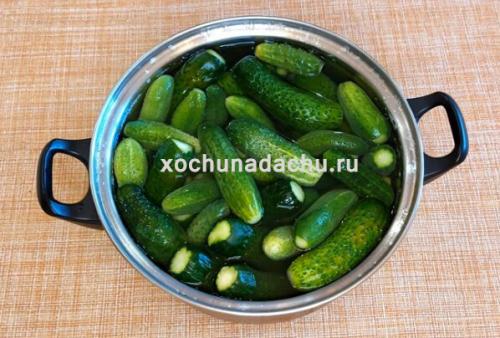 Маринованные огурцы сладкие хрустящие на 1 литровую банку. Хрустящие маринованные огурцы на зиму в 1 литровых банках с 9% уксусом