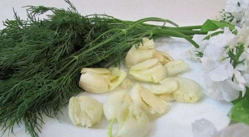 Маринованные огурцы рецепт быстрого приготовления. Быстрые маринованные огурцы – ТОП рецептов быстрого приготовления