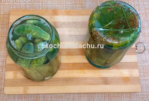 Маринованные огурцы сладкие хрустящие на 1 литровую банку. Хрустящие маринованные огурцы на зиму в 1 литровых банках с 9% уксусом