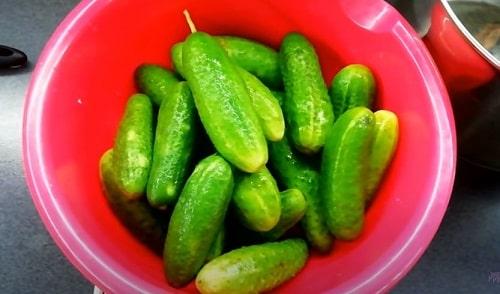 Салат из огурцов на зиму Пальчики оближешь с горчицей. Салат из огурцов с горчицей на зиму — самые вкусные рецепты