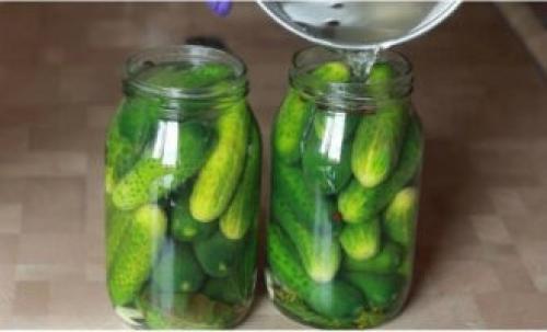 Маленькие огурчики на зиму. Хрустящие маринованные корнишоны на зиму на 1 литровую банку