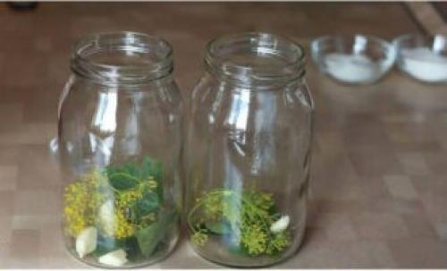 Маленькие огурчики на зиму. Хрустящие маринованные корнишоны на зиму на 1 литровую банку