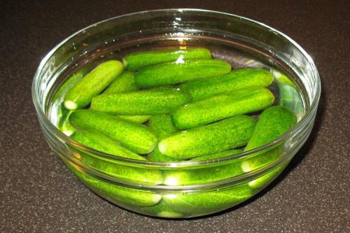 Как избежать мутности в маринаде и сохранить его прозрачность. 8 советов, что делать, чтобы банки с огурцами не взрывались и не мутнели