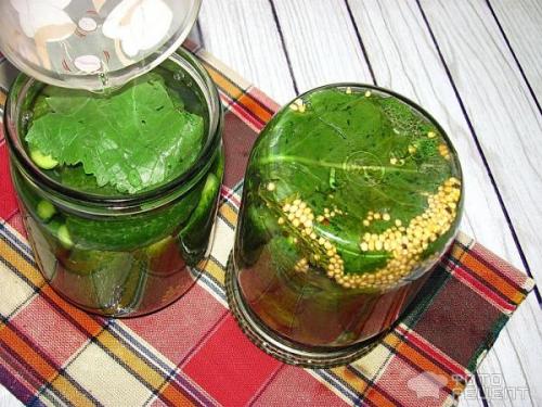 Можно ли мариновать корнишоны без стерилизации. Рецепт: Корнишоны консервированные - без стерилизации, в пол литровых банках