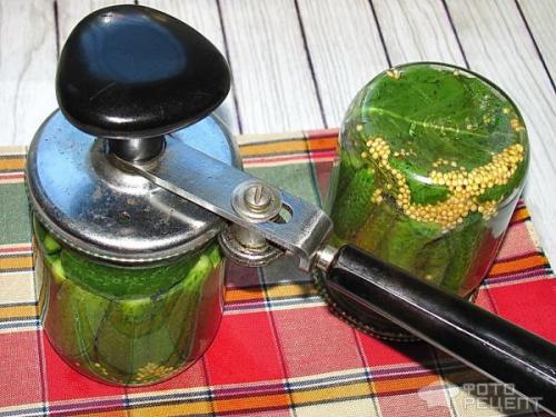 Можно ли мариновать корнишоны без стерилизации. Рецепт: Корнишоны консервированные - без стерилизации, в пол литровых банках