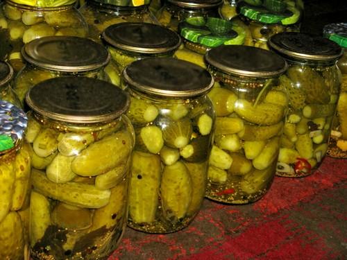 Какие ошибки чаще всего допускают при мариновании корнишонов и как их избежать. 6 фатальных ошибок в мариновании огурцов на зиму