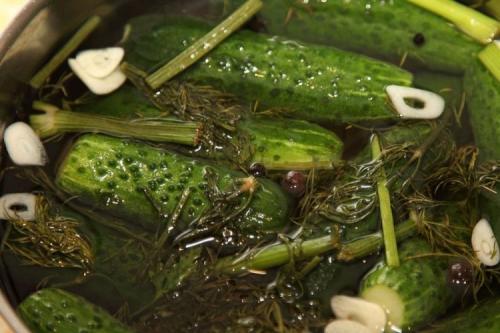 Как сделать рассол для огурцов. 15 быстрых рецептов рассола для огурцов на зиму