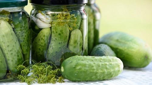 Какие ошибки чаще всего допускают при мариновании корнишонов и как их избежать. 6 фатальных ошибок в мариновании огурцов на зиму