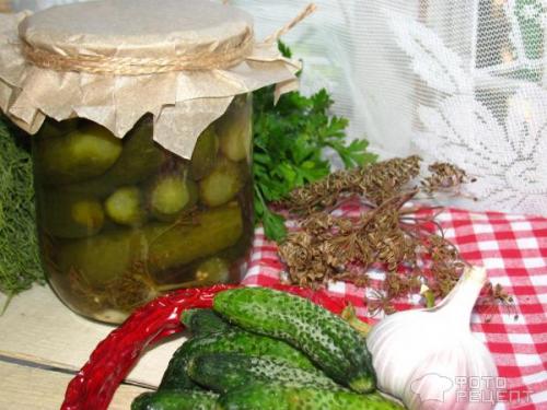 Можно ли мариновать корнишоны без стерилизации. Рецепт: Корнишоны консервированные - без стерилизации, в пол литровых банках