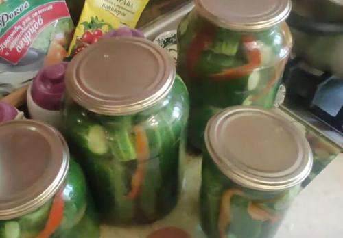 20 очень вкусных заготовок из огурцов на зиму. Рассольник на зиму с перловкой 14 20 очень вкусных заготовок из огурцов на зиму. Рассольник на зиму с перловкой 14