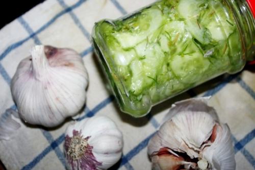 Маринованные огурцы кружочками. Огурцы маринованные кружочками