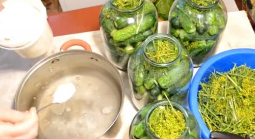 Квашеные огурцы кусочками. Квашенные огурцы в банках на зиму под железную крышку