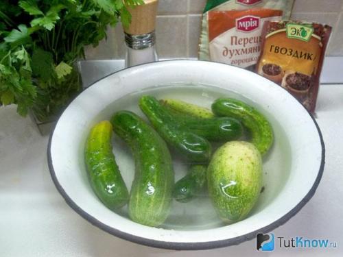 Огурцы кусочками на зиму. Лучшие рецепты на зиму 19 Огурцы кусочками на зиму. Лучшие рецепты на зиму 19