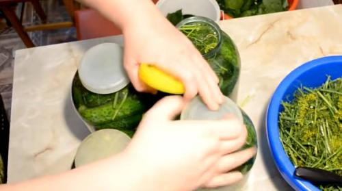 Квашеные огурцы кусочками. Квашенные огурцы в банках на зиму под железную крышку