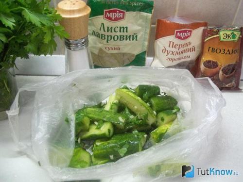 Огурцы кусочками на зиму. Лучшие рецепты на зиму 24 Огурцы кусочками на зиму. Лучшие рецепты на зиму 24