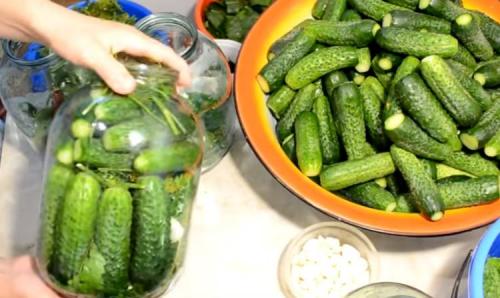 Квашеные огурцы кусочками. Квашенные огурцы в банках на зиму под железную крышку