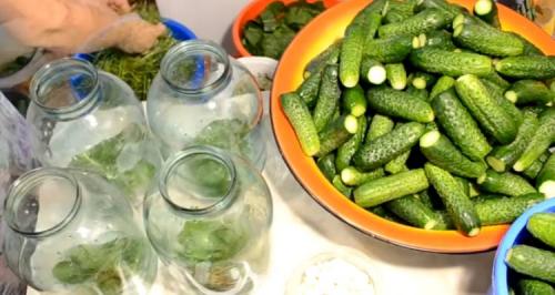 Квашеные огурцы кусочками. Квашенные огурцы в банках на зиму под железную крышку