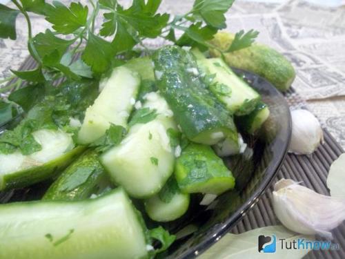 Огурцы кусочками на зиму. Лучшие рецепты на зиму 18 Огурцы кусочками на зиму. Лучшие рецепты на зиму 18