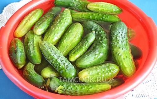 Маринованные огурцы в 1-литровых банках на зиму: простой рецепт 02 Маринованные огурцы в 1-литровых банках на зиму: простой рецепт 02