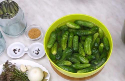 Как сделать маринованные корнишоны как в магазине: простой рецепт с видео 11 Как сделать маринованные корнишоны как в магазине: простой рецепт с видео 11