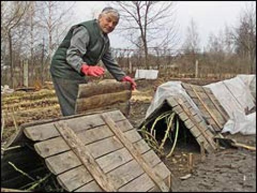 Как укрыть розы на зиму агроволокном. Подготовка роз к укрытию роз на зиму