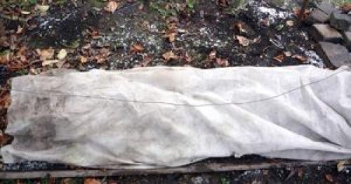 Как подготовить и укрыть розы на зиму. Подготовка роз к зиме – 13 важных шагов 09