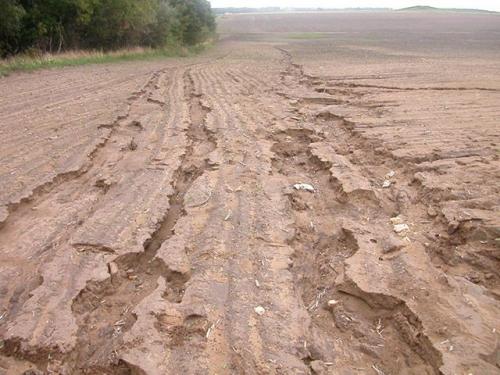 Пирог дренажа. Для чего нужен дренаж участка