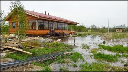 Дренажные работы. Дренаж дома и дренаж участка: нюансы