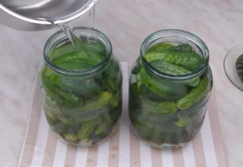 Простые рецепты корнишонов на зиму: как приготовить вкусные маринованные огурчики 03 Простые рецепты корнишонов на зиму: как приготовить вкусные маринованные огурчики 03