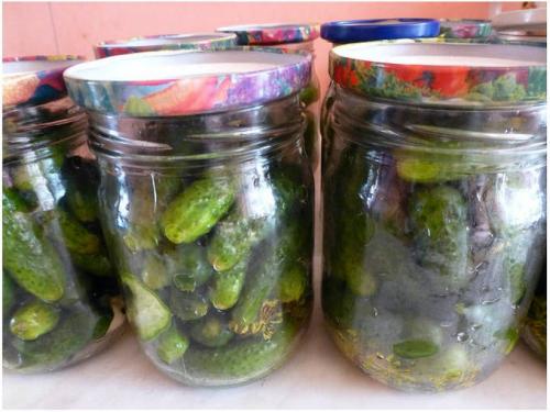 Как добиться того, чтобы корнишоны получились такими же как в магазине. Маринованные корнишоны, как в магазине на зиму