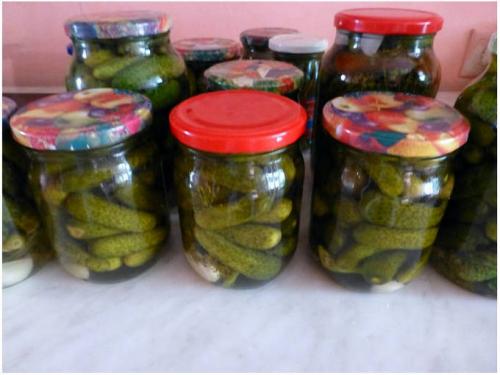 Как добиться того, чтобы корнишоны получились такими же как в магазине. Маринованные корнишоны, как в магазине на зиму