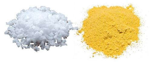 Парша на стволе яблони. Парша на яблоне