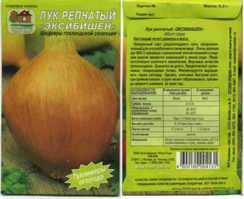 Когда сажать лук Эксибишен на рассаду в 2022 году. Когда сажать (сеять) лук на рассаду по лунному календарю 2022 года