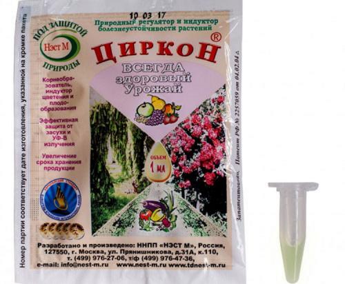 Парша яблони лечение осенью. Чем лечить паршу на яблоне осенью: чем обработать