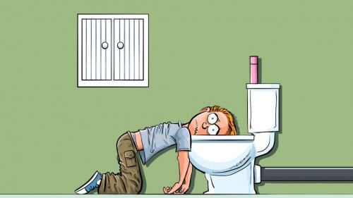 Признаки недостатка элементов питания у томатов. Как определить чего не хватает томатам по цвету листьев — инструкция, как диагностировать и устранить дефицит микроэлементов у помидор 12