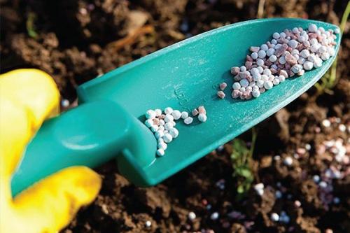 Чем укрыть розы на зиму. 10 лучших вариантов чем и как укрыть розы на зиму в 2022 году