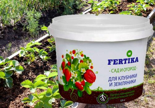 Комплексное удобрение для клубники весной. Минеральные удобрения для клубники
