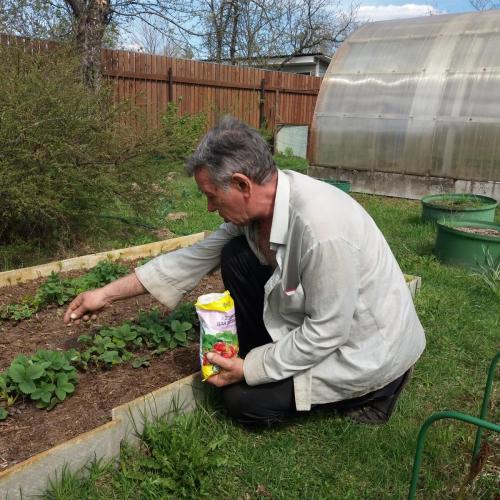 Фосфорно-калийные удобрения для клубники. Минеральные